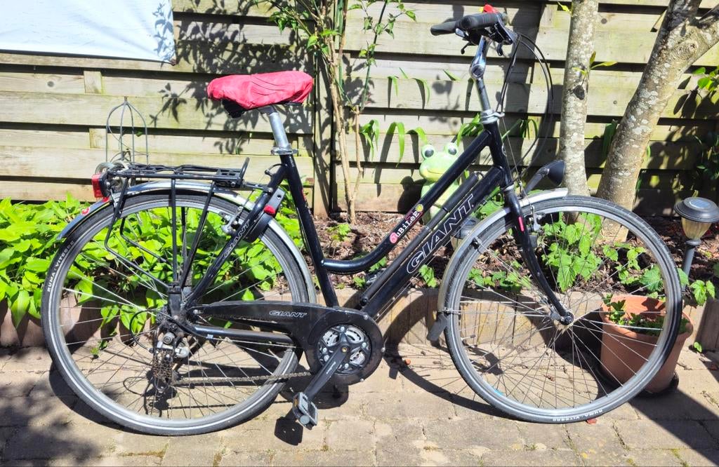 Giant damesfiets, nw ketting, tandwielen, kabels, versnellin, Ophalen, Gebruikt, Meer dan 20 versnellingen, 56 cm of meer