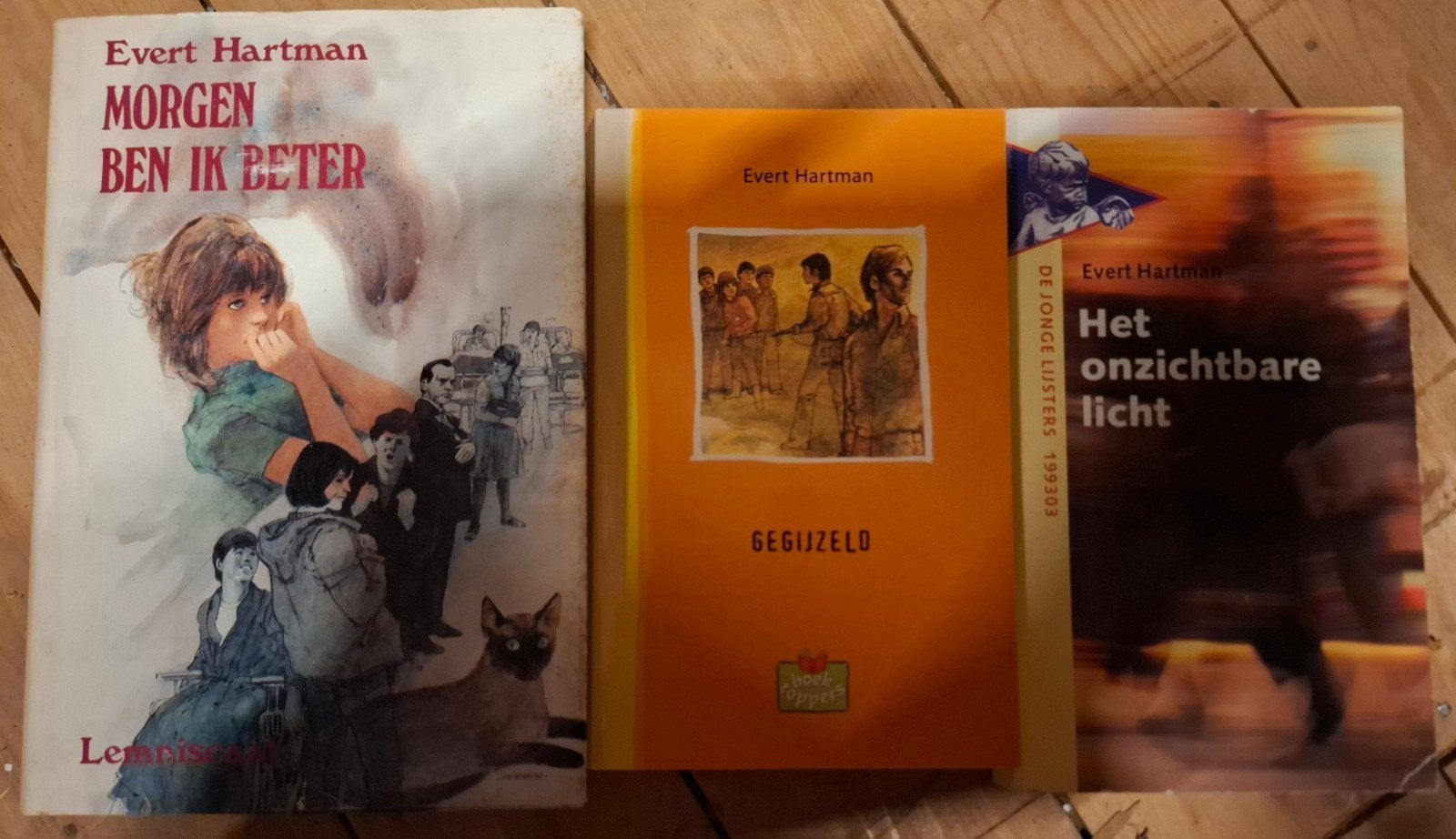 Evert Hartman 3 boeken, Boeken, Ophalen of Verzenden, Gelezen