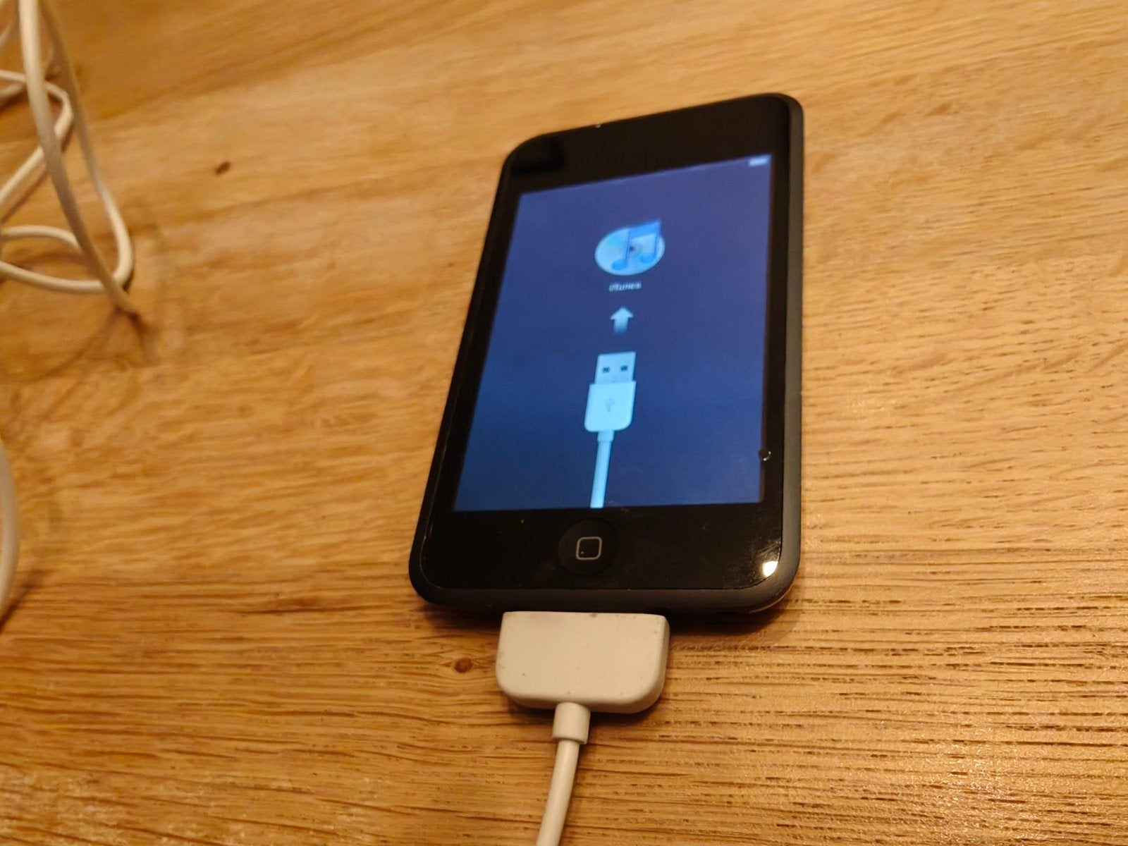 iPod 16GB Touch (Gen 1) - vintage/ gebruikt, Audio, Tv en Foto, Ophalen of Verzenden, Gebruikt, Touch, 10 tot 20 GB