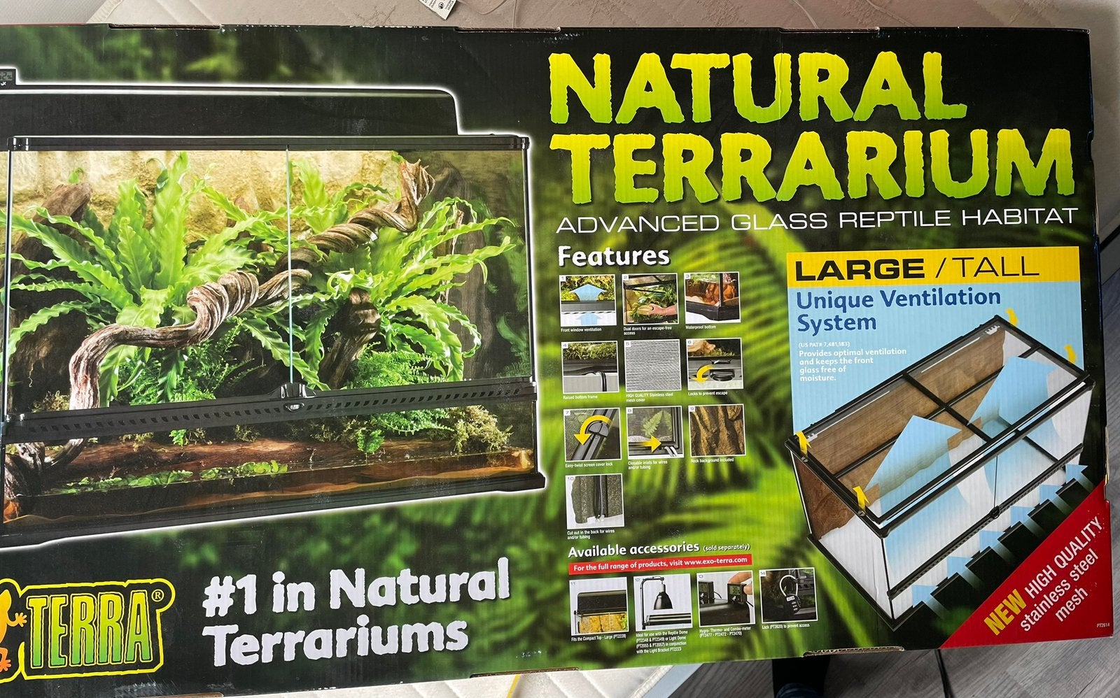 Rattenslang Milly met terrarium en toebehoren Rat Snake photo 4