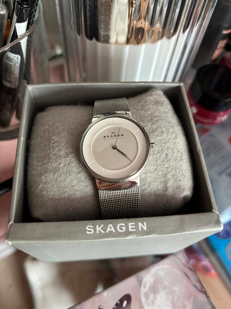 Skagen horloge, Sieraden, Tassen en Uiterlijk, Horloges | Dames, Overige merken, Gebruikt, Staal, Polshorloge