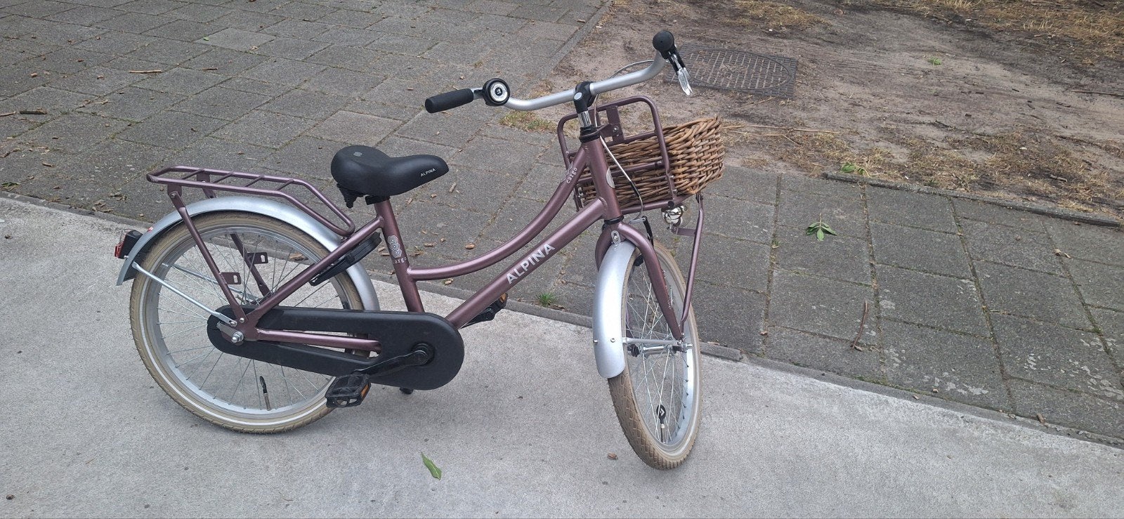 Alpina Cargo 20 inch fiets met mand - Zo goed als nieuw, Zo goed als nieuw, Ophalen, Overige merken, Terugtraprem