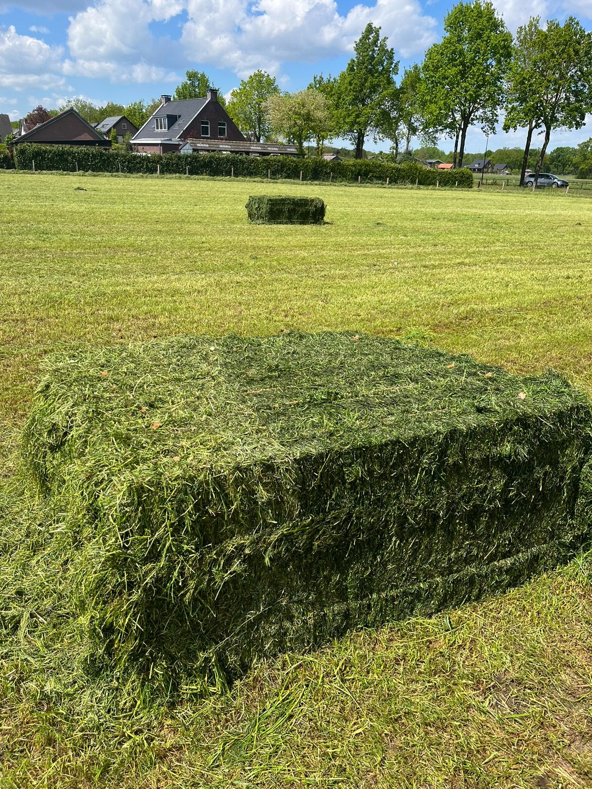 1ste snee vierkante pakken, Dieren en Toebehoren, Dierenvoeding, Ophalen