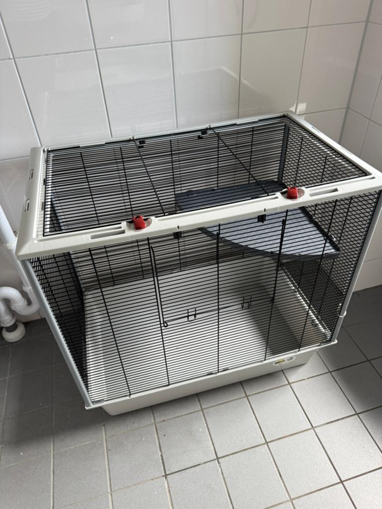 Hok voor muizen, ratten enz, Ophalen, Zo goed als nieuw, Overige typen
