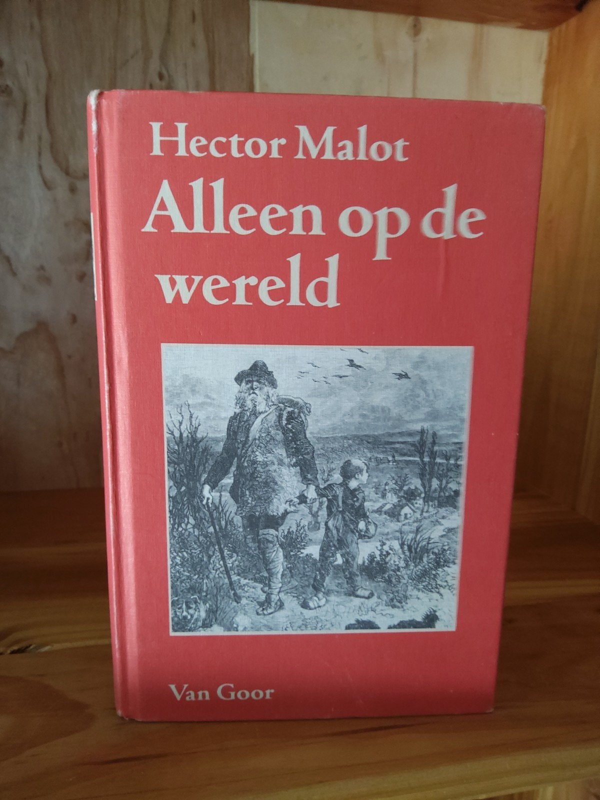 Alleen op de Wereld - Hector Malot (Van Goor), Boeken, Ophalen of Verzenden, Gelezen, Hector Malot