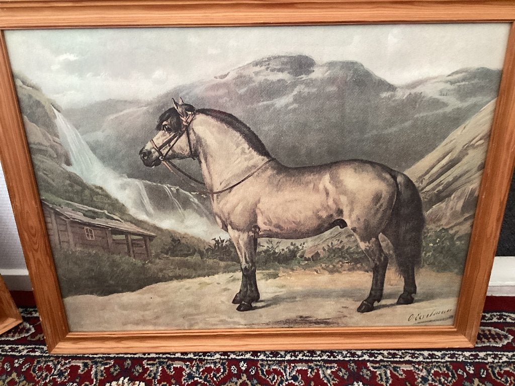 2 grote wandprenten van paarden, Dieren en Toebehoren, Ophalen, Gebruikt, Overige disciplines