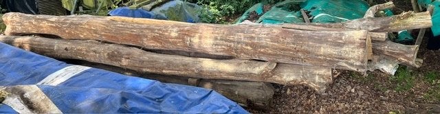 boomstam, Minder dan 3 m³, Ophalen, Eikenhout, Stammen