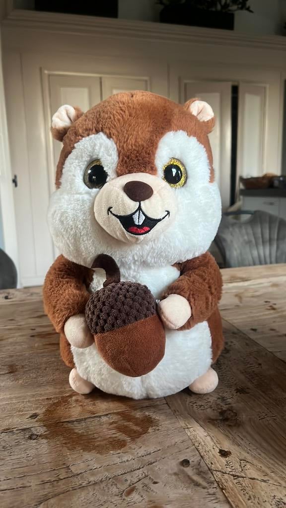 Grootte eekhoorn knuffel, Ophalen, Zo goed als nieuw, Overige typen