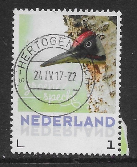 Persoonlijke, Vogels, Groene Specht (K0106), Ophalen of Verzenden