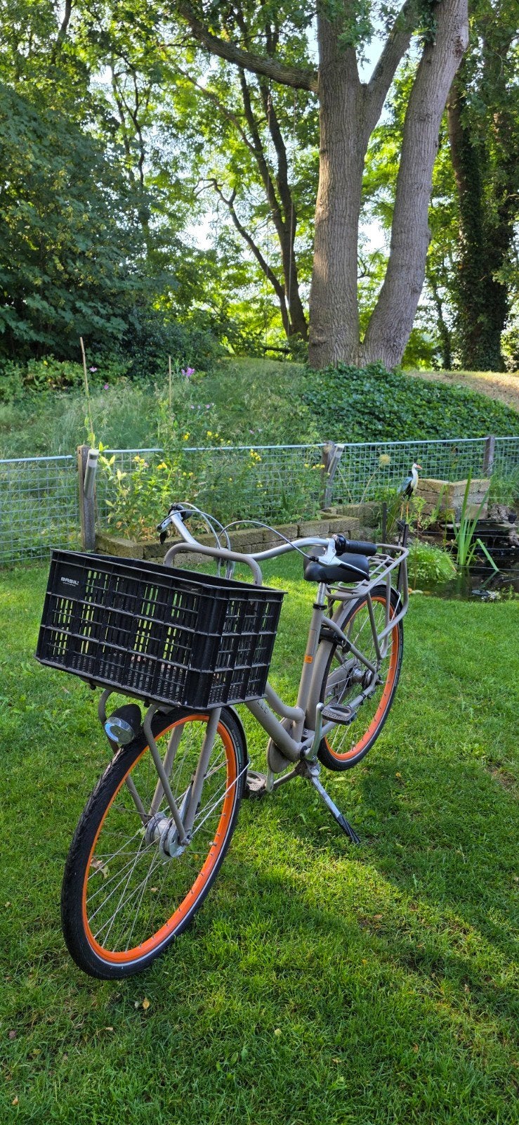 Gazelle Stadsfiets met Voordrager en Mand, Fietsen en Brommers, Fietsen | Dames | Damesfietsen, 56 cm of meer, Ophalen, Gazelle