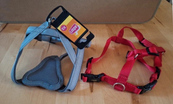 Nieuw stevige grijs hondentuigje Adori XS + 1 tuigje GRATIS, Ophalen of Verzenden, Nieuw