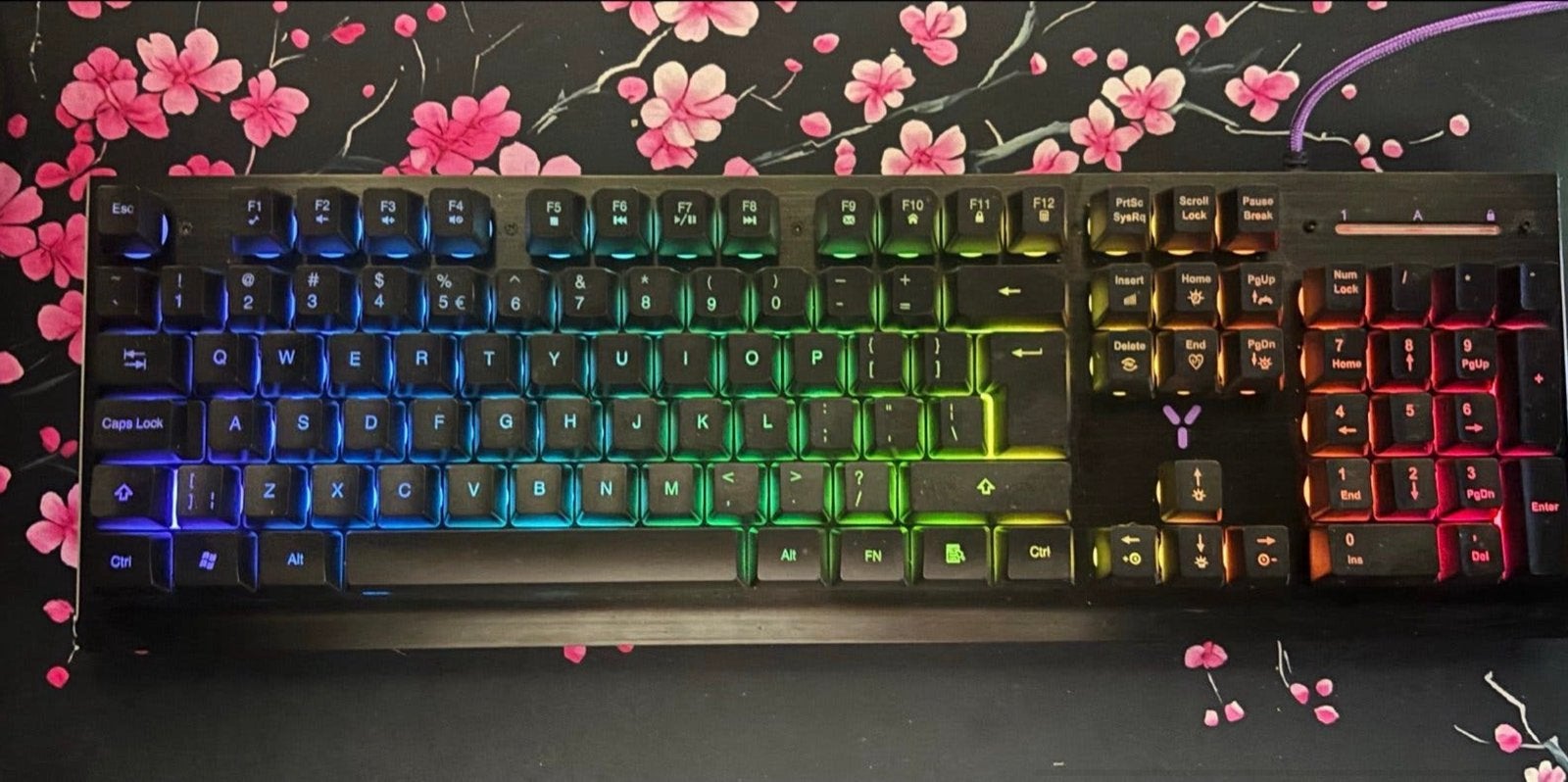 Isy toetsenbord (1 week gebruikt!), Gaming toetsenbord, Ophalen of Verzenden, Zo goed als nieuw, Qwerty