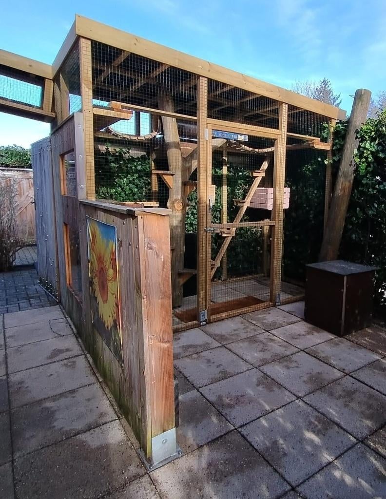 Gratis Katteren!, Dieren en Toebehoren, Katten-accessoires, Ophalen, Gebruikt