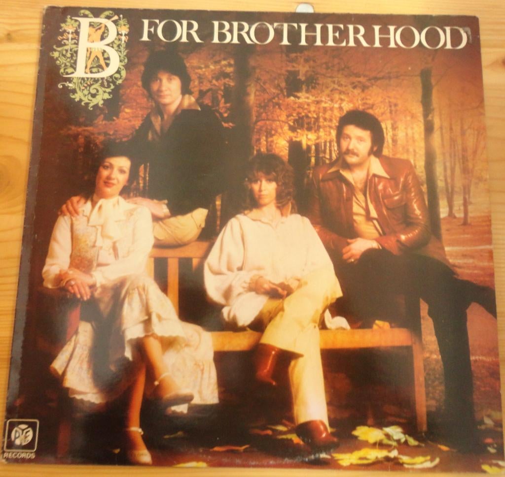 Brotherhood of Man (LP), Ophalen of Verzenden, Gebruikt, 12 inch