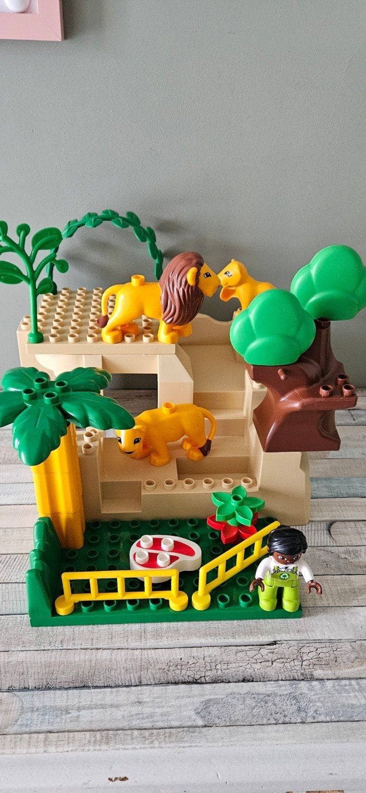 duplo leeuwenrots leeuw rots dierentuin, Ophalen, Zo goed als nieuw, Duplo