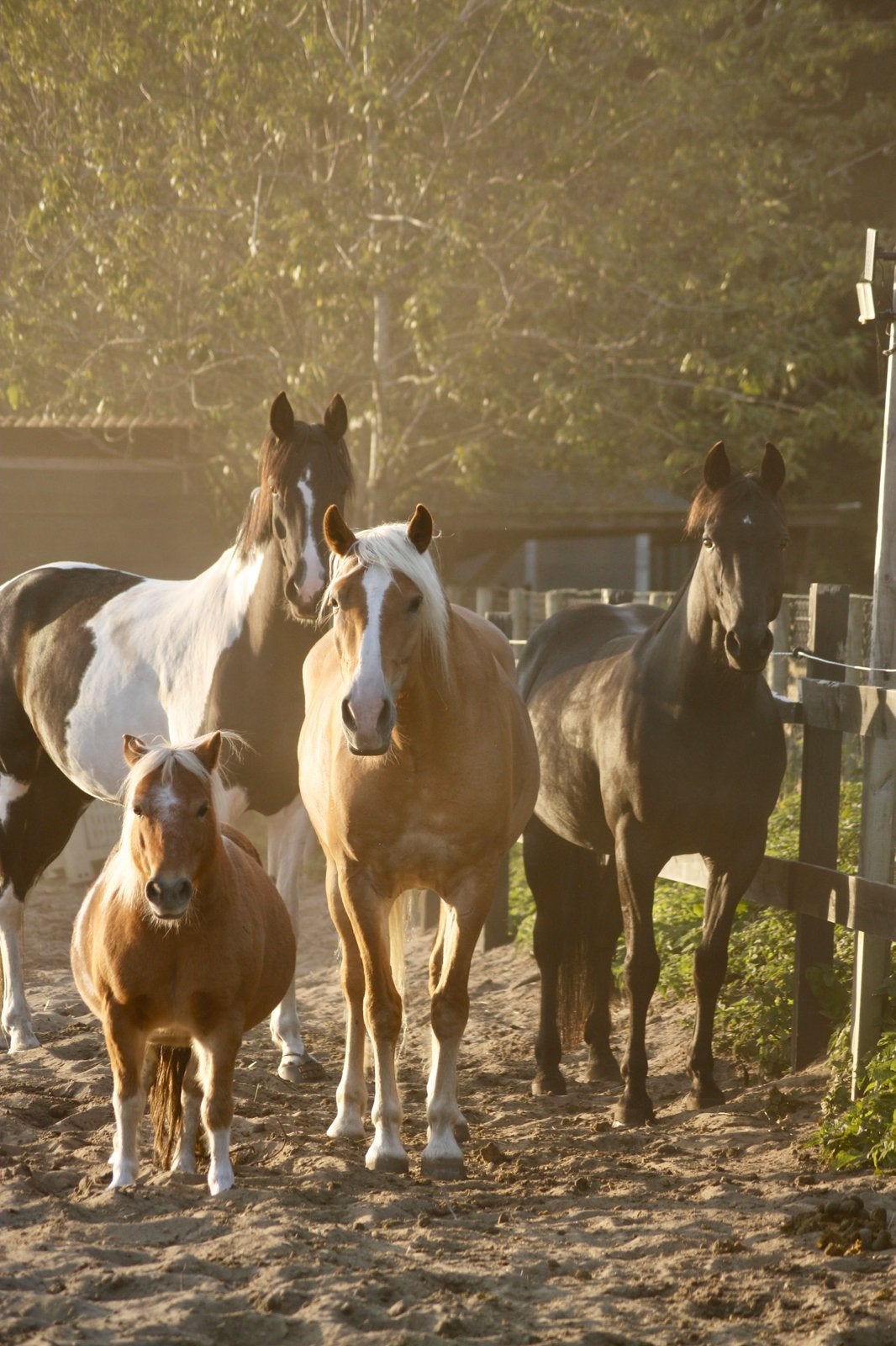 Stalhulp gezocht privestal Noordwijk
