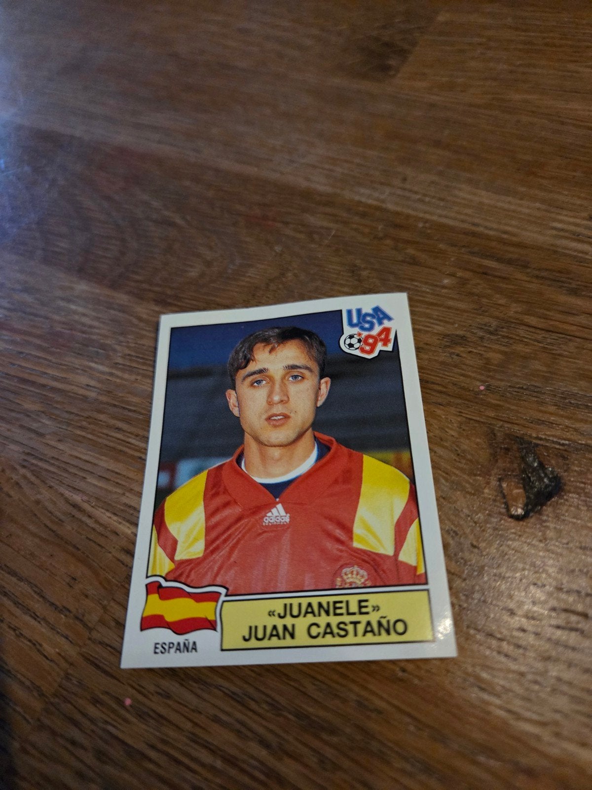 Panini WK 94, Ophalen of Verzenden, Zo goed als nieuw, Buitenlandse clubs, Poster, Plaatje of Sticker