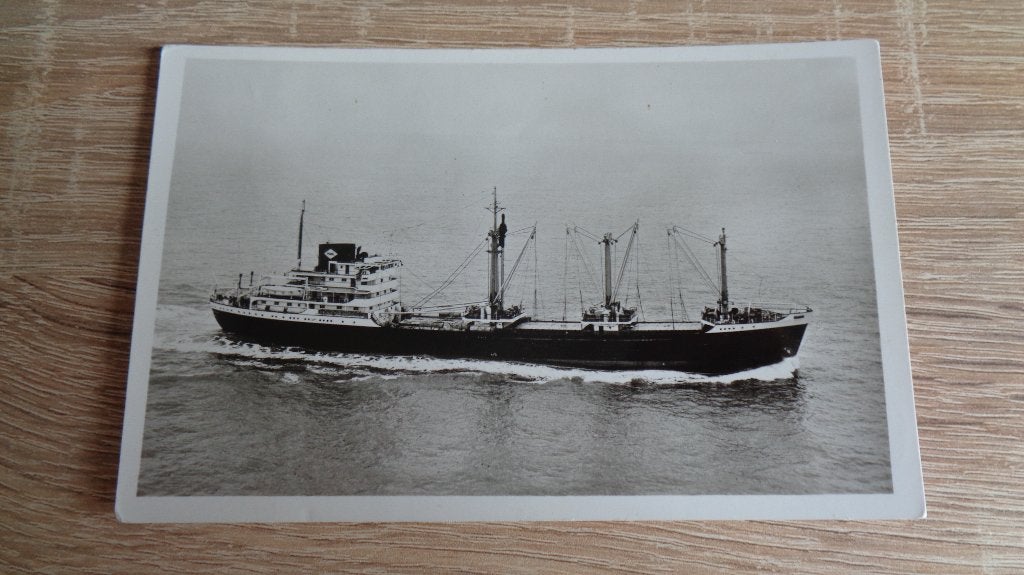 m.s. Senegalkust, Verzenden, Zo goed als nieuw, Kaart, Foto of Prent