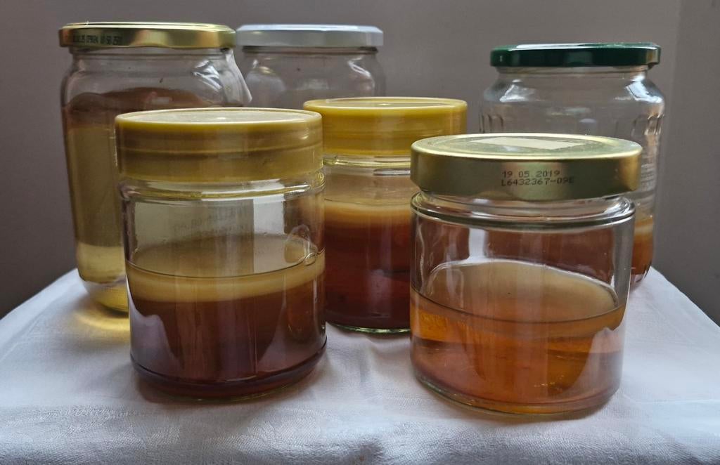 Kombuchazwam scoby voor groene of zwarte thee, Ophalen