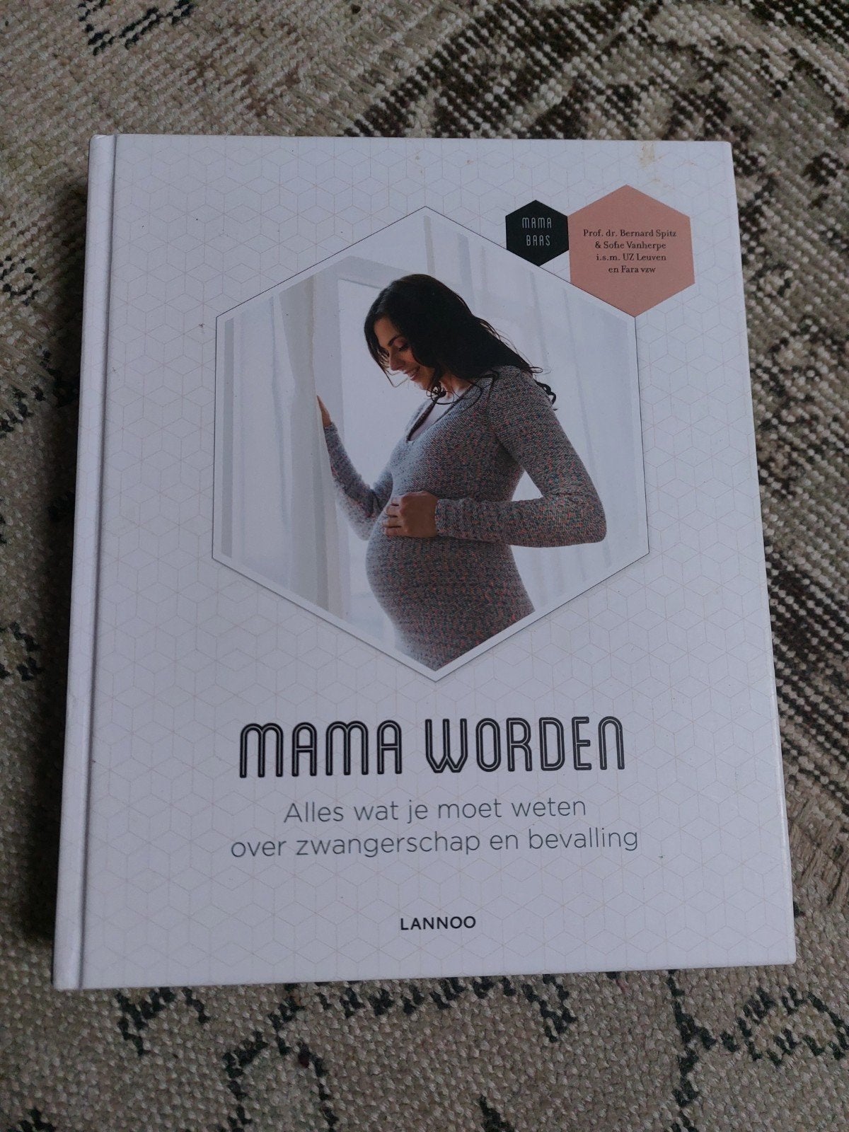 Bernard Spitz - Mama worden, Zwangerschap en Bevalling, Ophalen of Verzenden, Zo goed als nieuw, Bernard Spitz