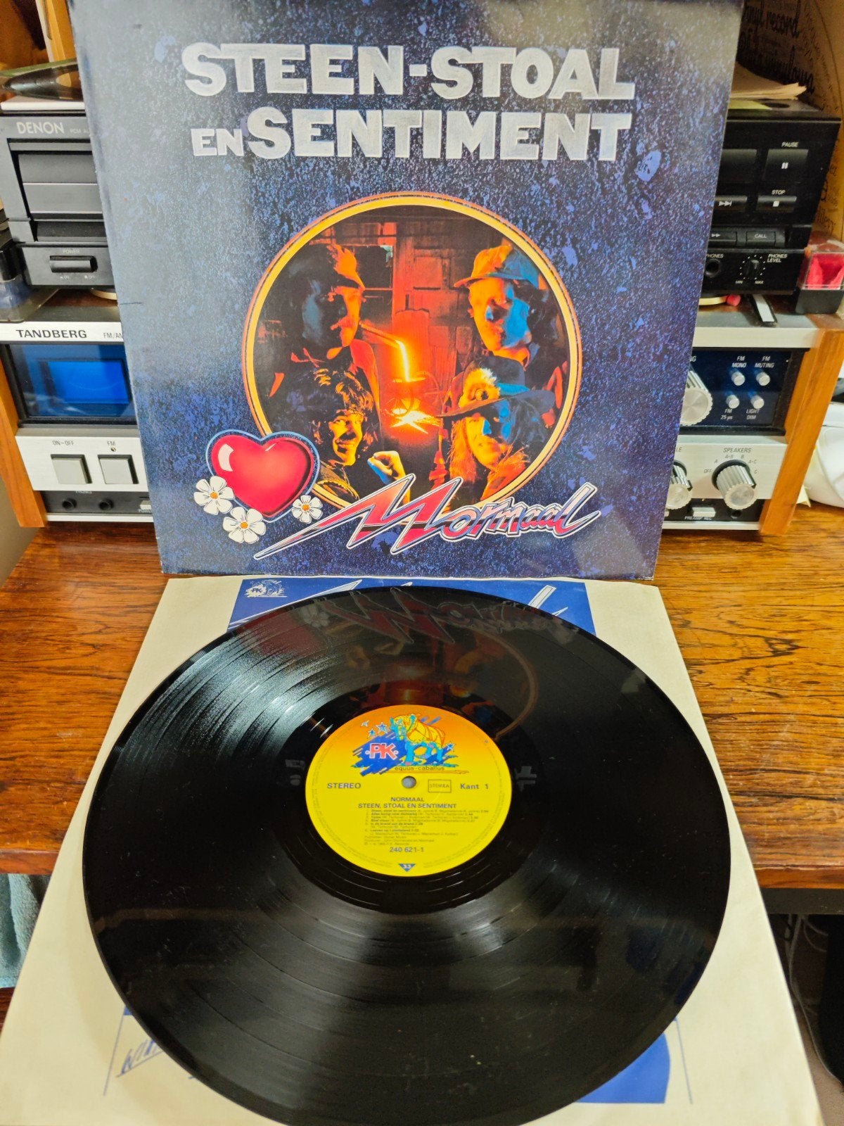 Normaal - Steen, Stoal en Sentiment LP, LP, Gebruikt, Ophalen of Verzenden, 12 inch
