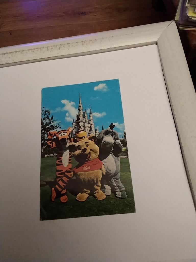 FANTASIALAND 1978. WALT DISNEY  WORLD, Verzamelen, Ansichtkaarten | Themakaarten, Ophalen of Verzenden, 1960 tot 1980, Sterren en Beroemdheden