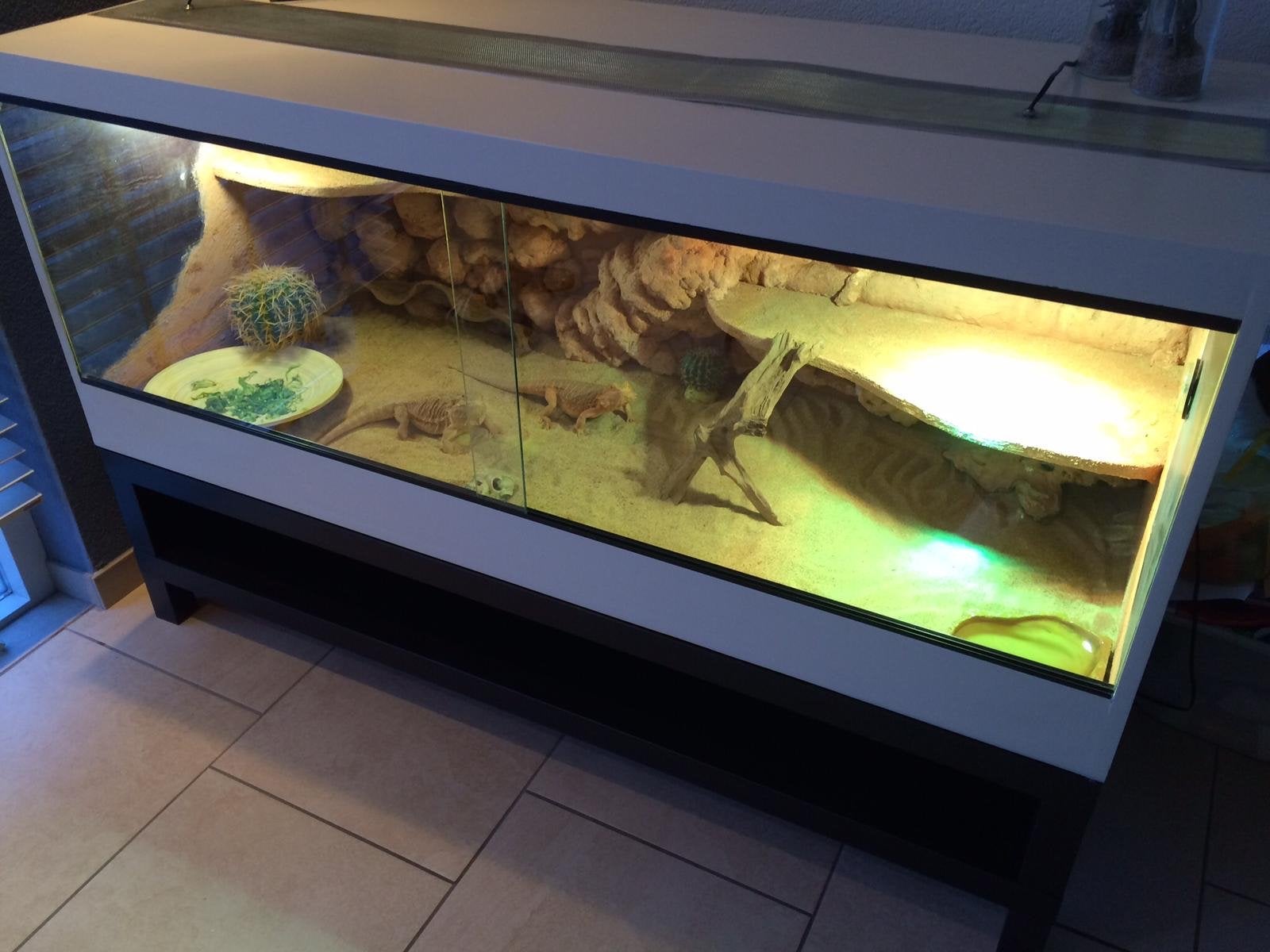 Terrarium te koop, Ophalen