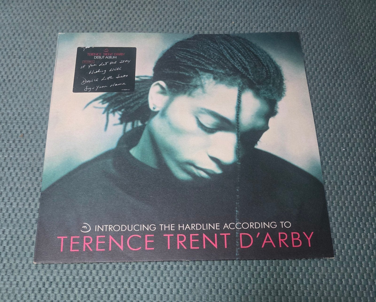 terence trent d'arby introducing the hard line lp, Cd's en Dvd's, Ophalen of Verzenden, LP