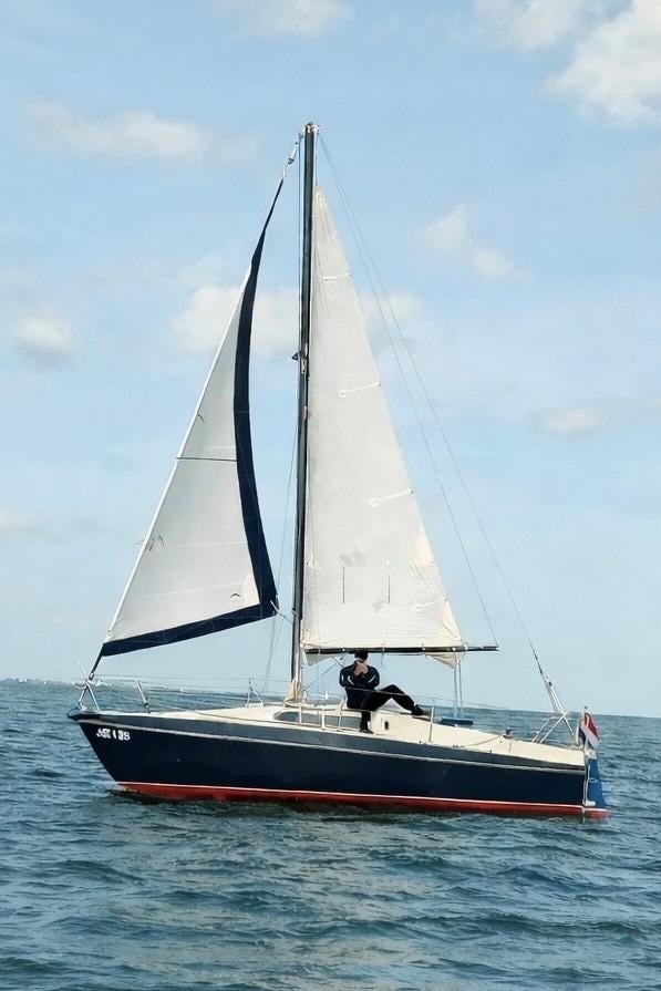 Balaton 24 | Zeilklaar | Veel nieuw | Vetus | Solo Zeilboot, Ophalen, Gebruikt, Diesel, Tourjacht of Cruiser