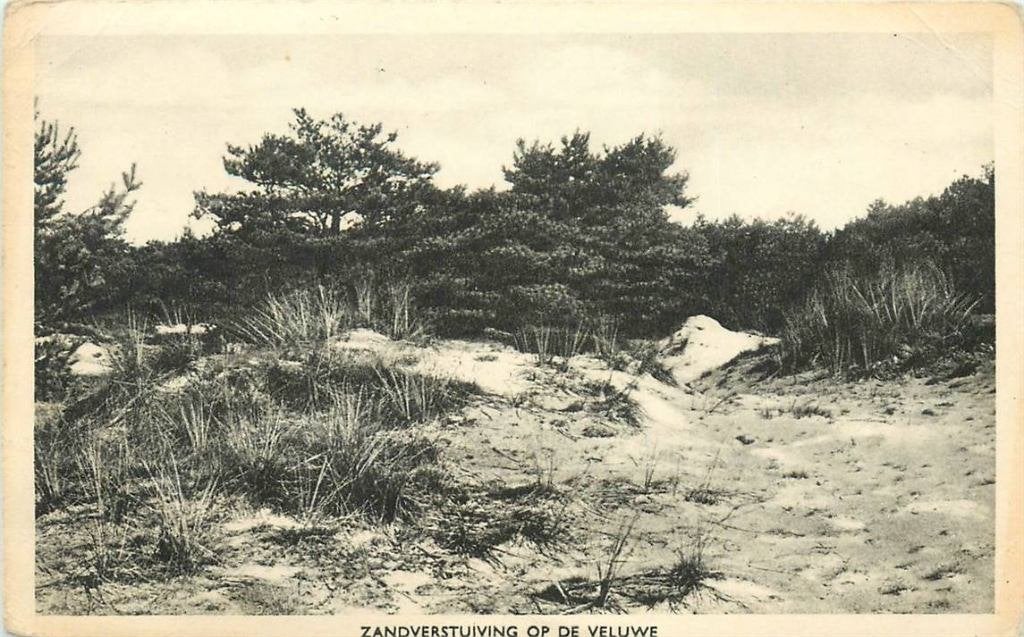 388-462-027 Op de Veluwe Zandverstuiving, Verzenden, Voor 1920, Gelderland