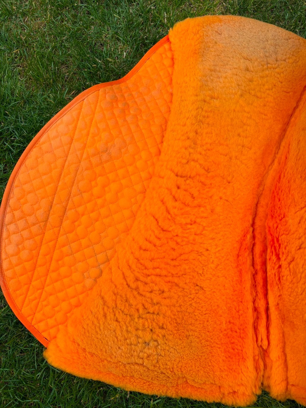 Edix oranje zadelonderlegger, Dieren en Toebehoren, Paarden en Pony's | Dekens en Dekjes, Ophalen of Verzenden, Zo goed als nieuw