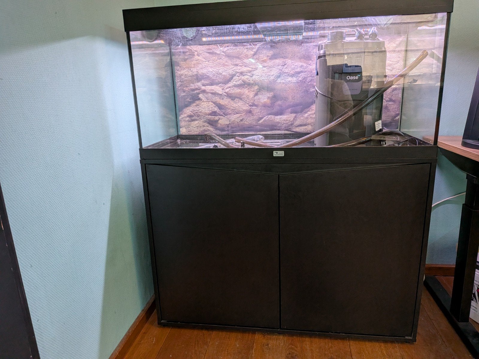 aquatlantis 180 liter, Dieren en Toebehoren, Ophalen, Gebruikt, Aquatlantis, Inclusief deksel