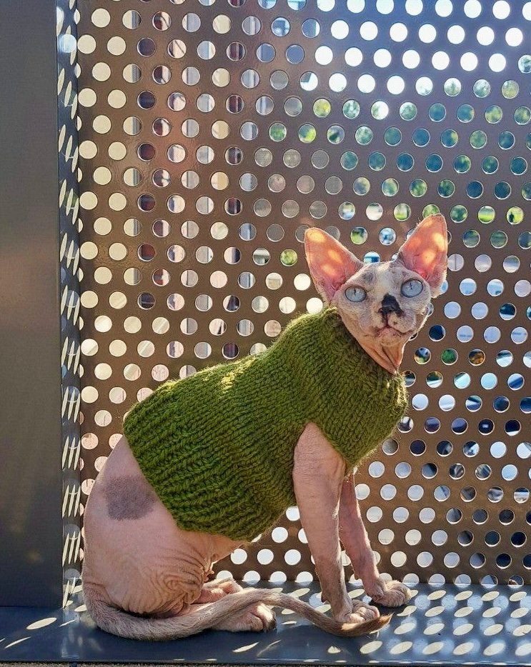 Handmade KATTENTRUI Sphynx Rex Kat kitten Korthaar Kater, Dieren en Toebehoren, Ophalen of Verzenden, Nieuw