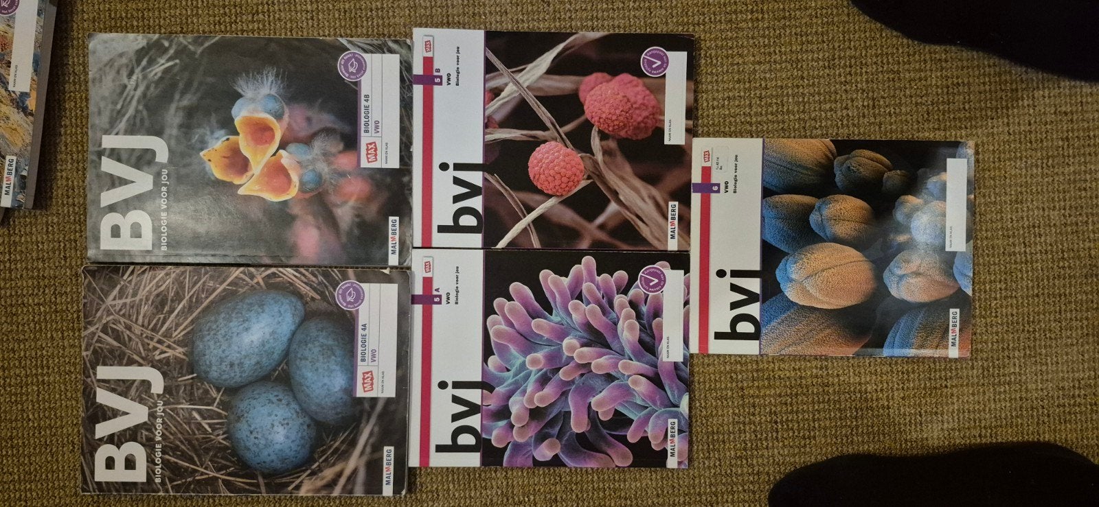 Biologie boeken VWO 4, 5 en 6 (4a, 4b, 5s, 5b, 6), Ophalen of Verzenden, Gelezen, VWO, Biologie