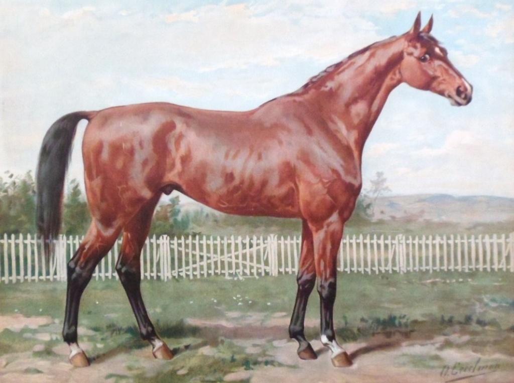 Otto Eerelman.1839-1926.Engelsche volbloedpaard no.:19, Antiek en Kunst, Kunst | Schilderijen | Klassiek, Ophalen