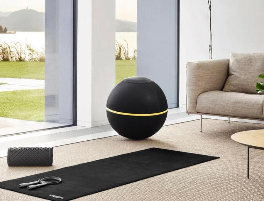 Technogym buikspieren en ergobal, Ophalen, Zo goed als nieuw