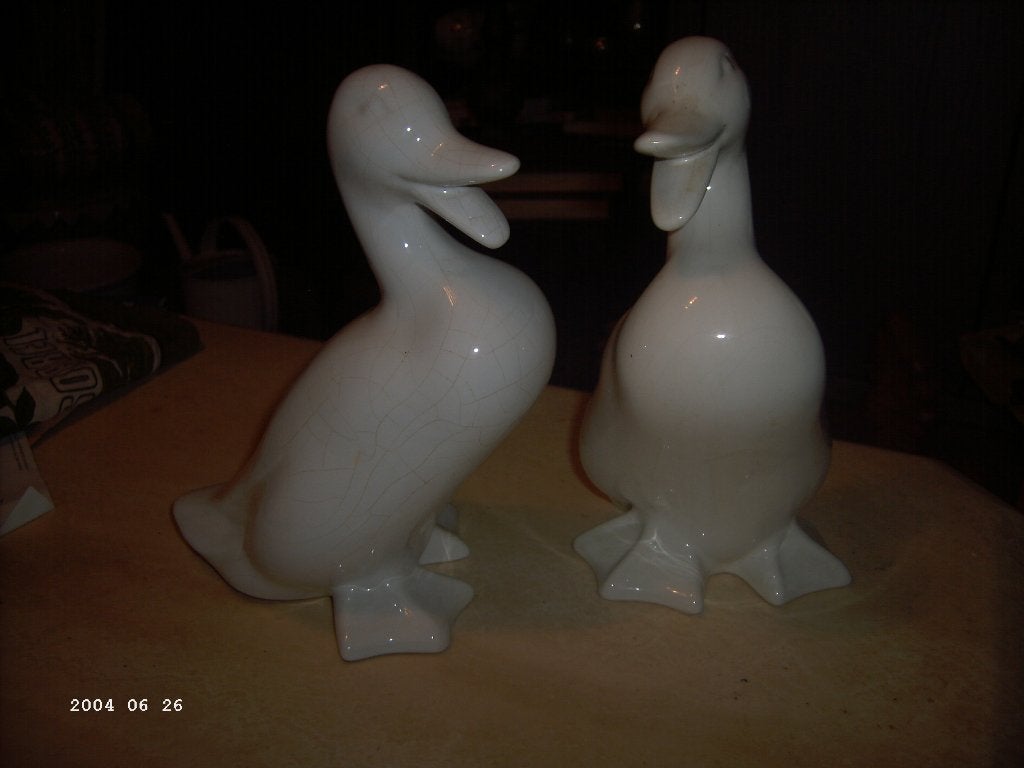 Eenden ( twee), Ophalen