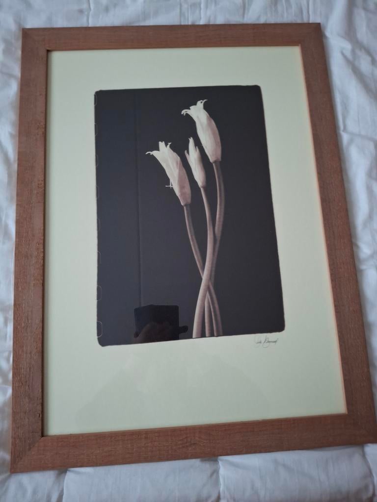 Set van 3 ingelijste bloemenprints - in beperkte oplage gema, Ophalen, 50 tot 75 cm, Oorspronkelijke maker, 50 tot 75 cm