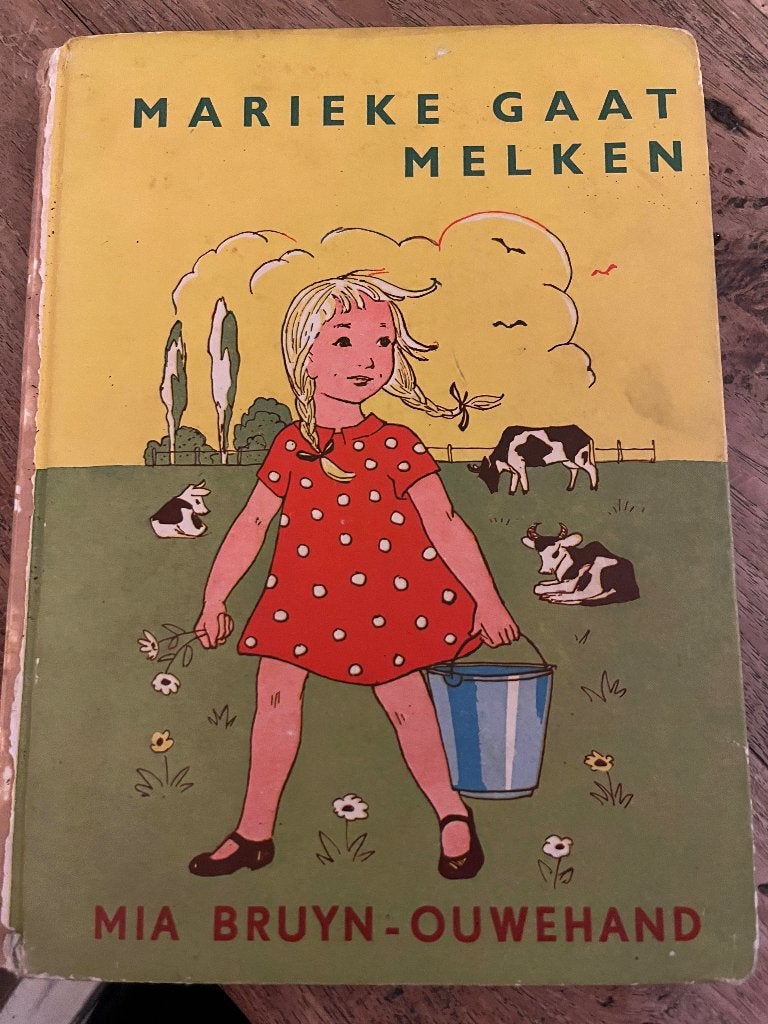 kinderboek, Gelezen, Fictie algemeen, Ophalen of Verzenden, M. Bruyn-Ouwehand