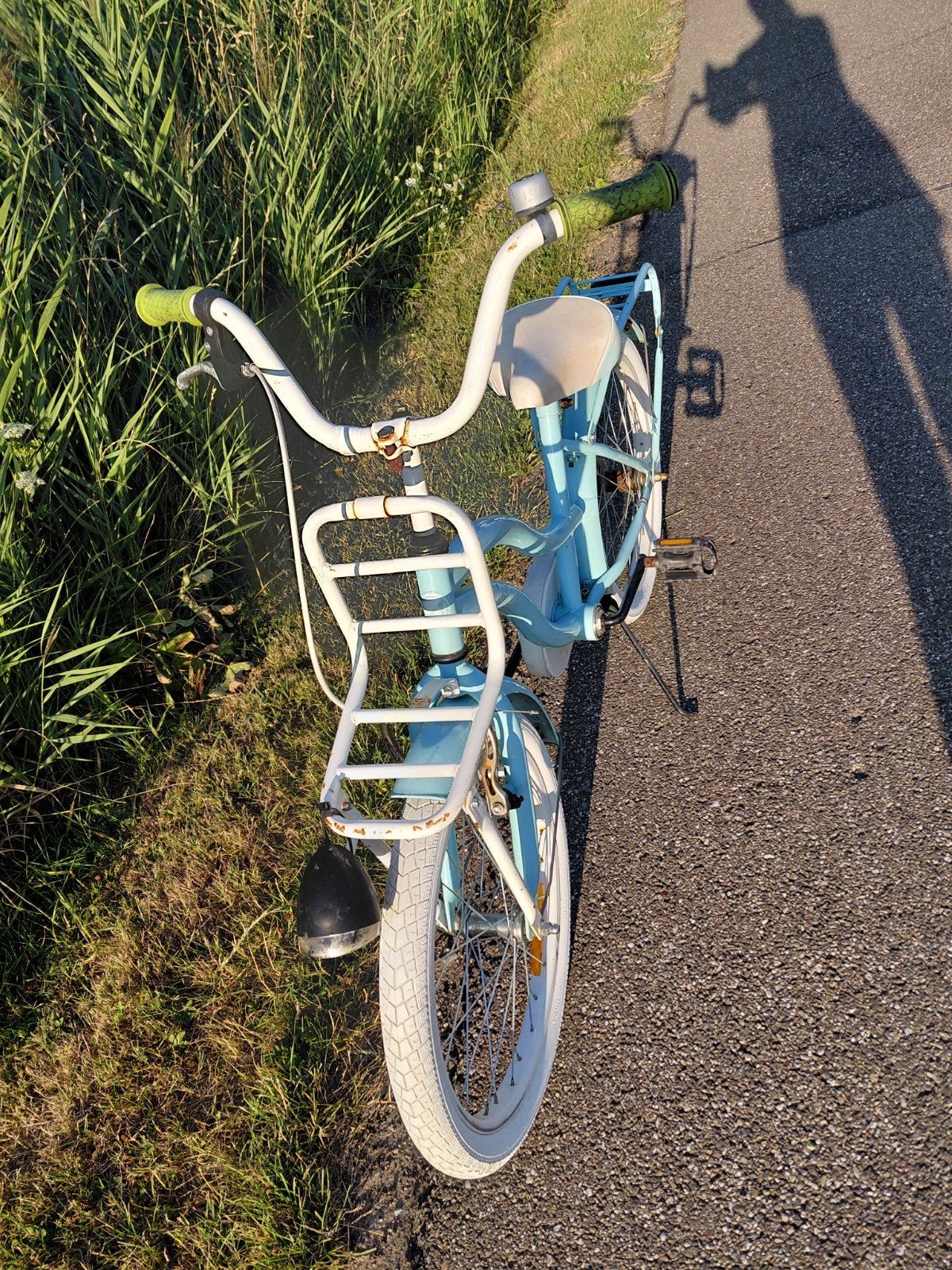 Amigo transport meisjesfiets 20 inch., Ophalen, Gebruikt, Staal, Minder dan 47 cm