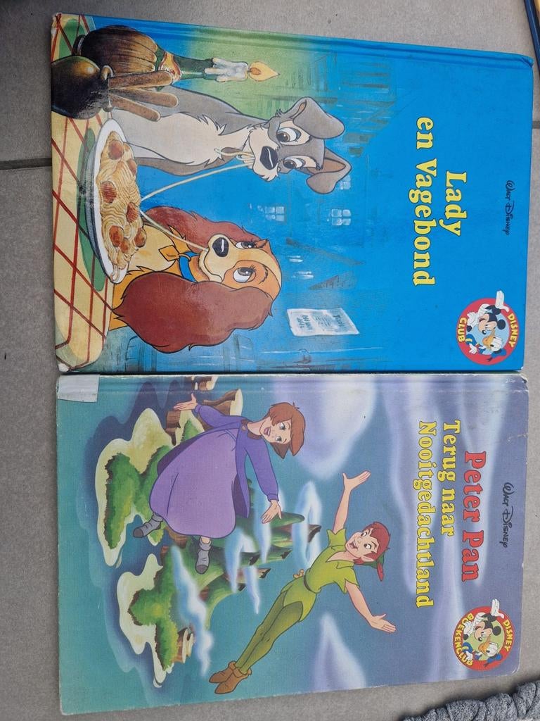 Disney boeken, Ophalen of Verzenden, Zo goed als nieuw, 3 tot 4 jaar