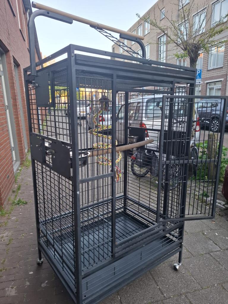 ara vogels kooi Papegaaienkooi Sofia, Dieren en Toebehoren, Ophalen, Zo goed als nieuw, Metaal, Vogelkooi