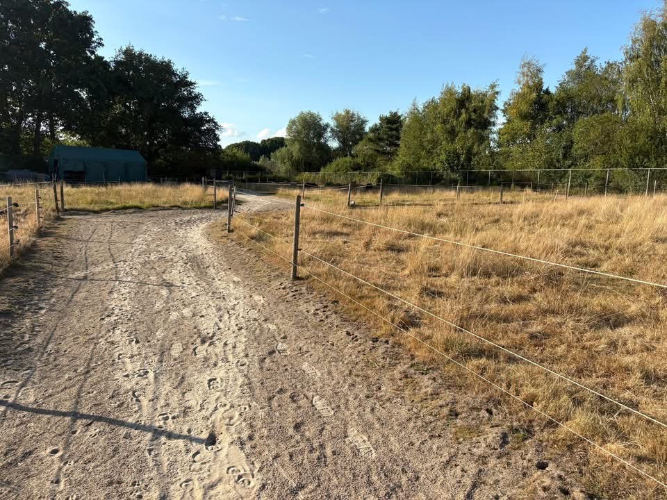 Nieuw weigenootje gezocht voor ons paddock paradijs!, Ophalen of Verzenden, Zo goed als nieuw