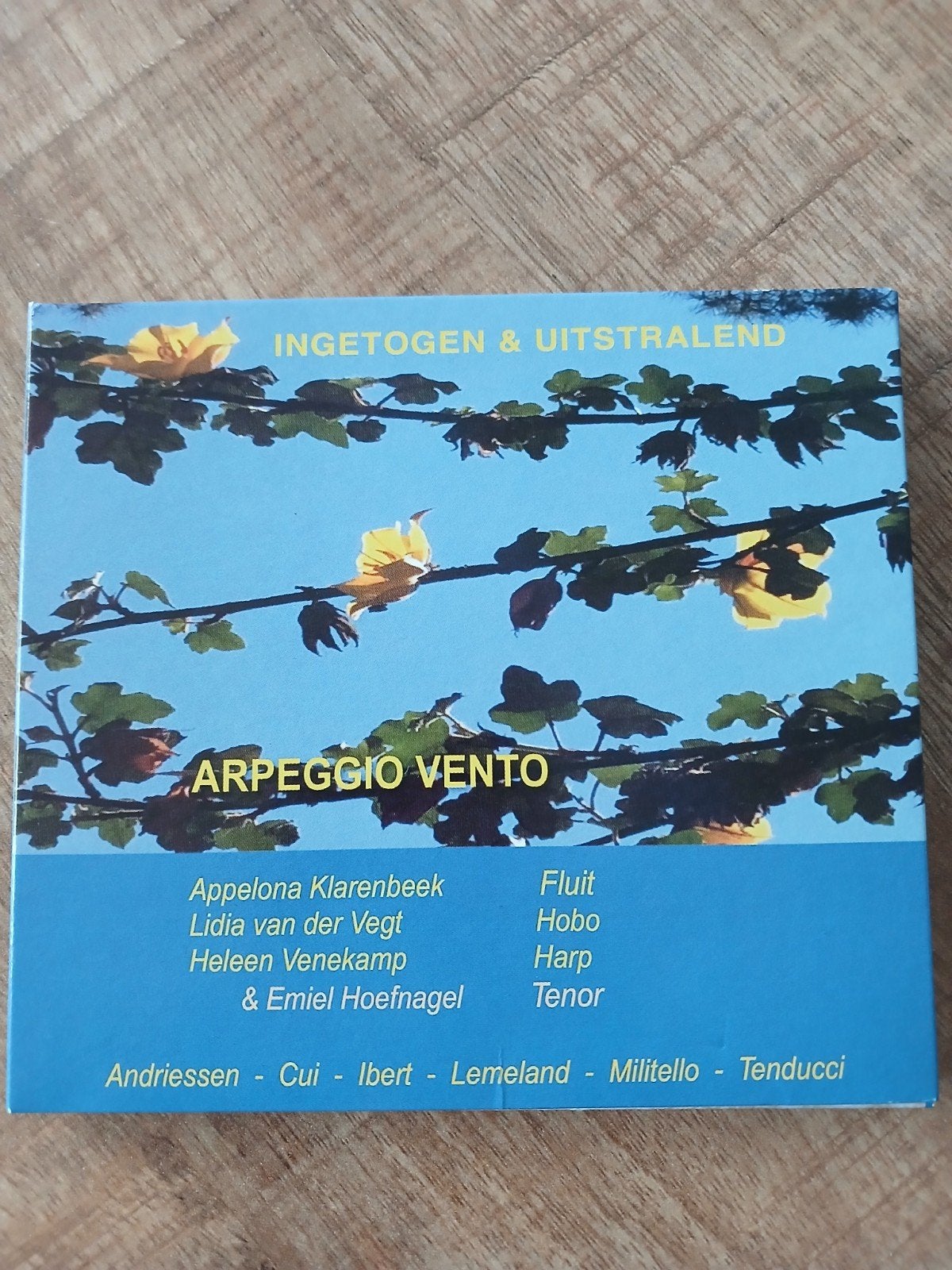 Arpeggio Vento & Emiel Hoefnagel, Cd's en Dvd's, Inclusief boekje, Overige typen, Ophalen of Verzenden, Zo goed als nieuw