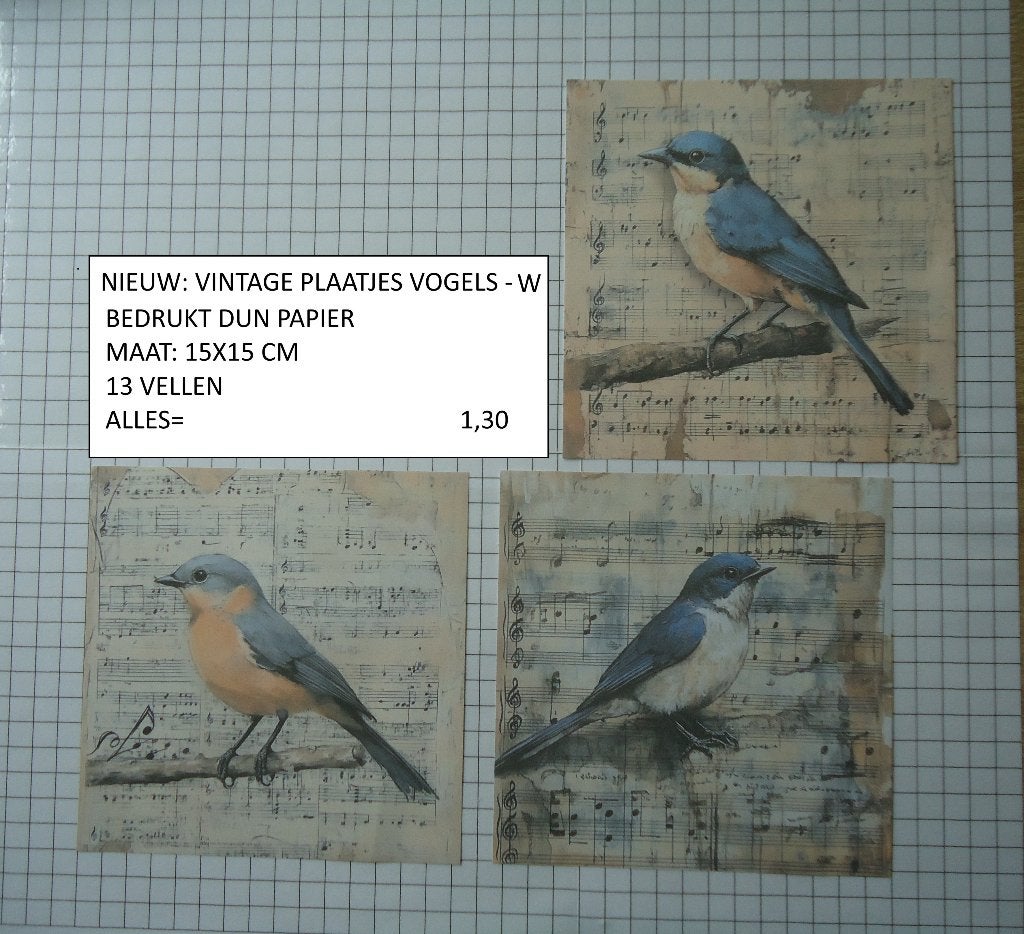 vintage plaatjes groot vogels 13 st set W ( alleen verzenden, Ophalen, Nieuw, Papier of Karton, Overige merken