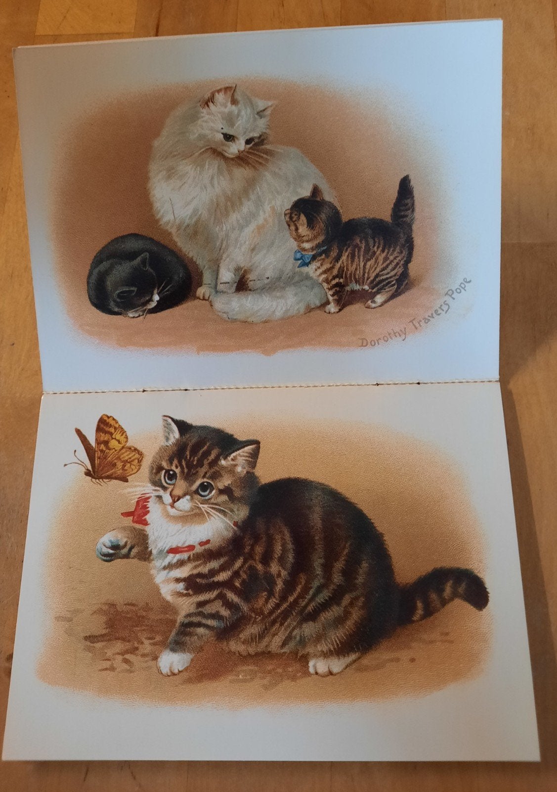 Katten Ansichtkaarten - Dorothy Travers Pope, Ophalen of Verzenden, Voor 1920, Ongelopen, Hond of Kat