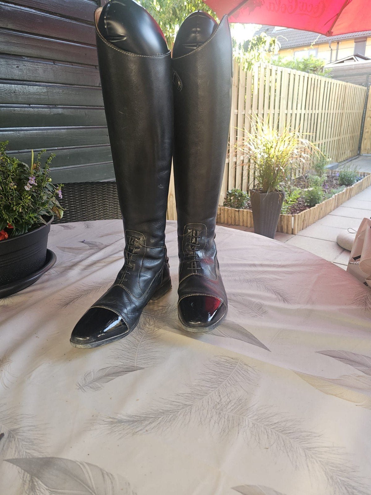 epplejeck leren laarzen, laarzen tas, Dieren en Toebehoren, Paardrijkleding, Ophalen, Zo goed als nieuw, Dressuur, Schoeisel