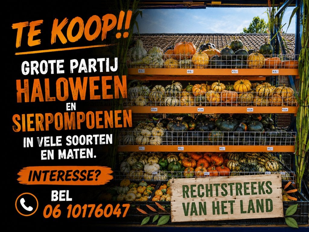 Pompoenen!!, Ophalen, Nieuw