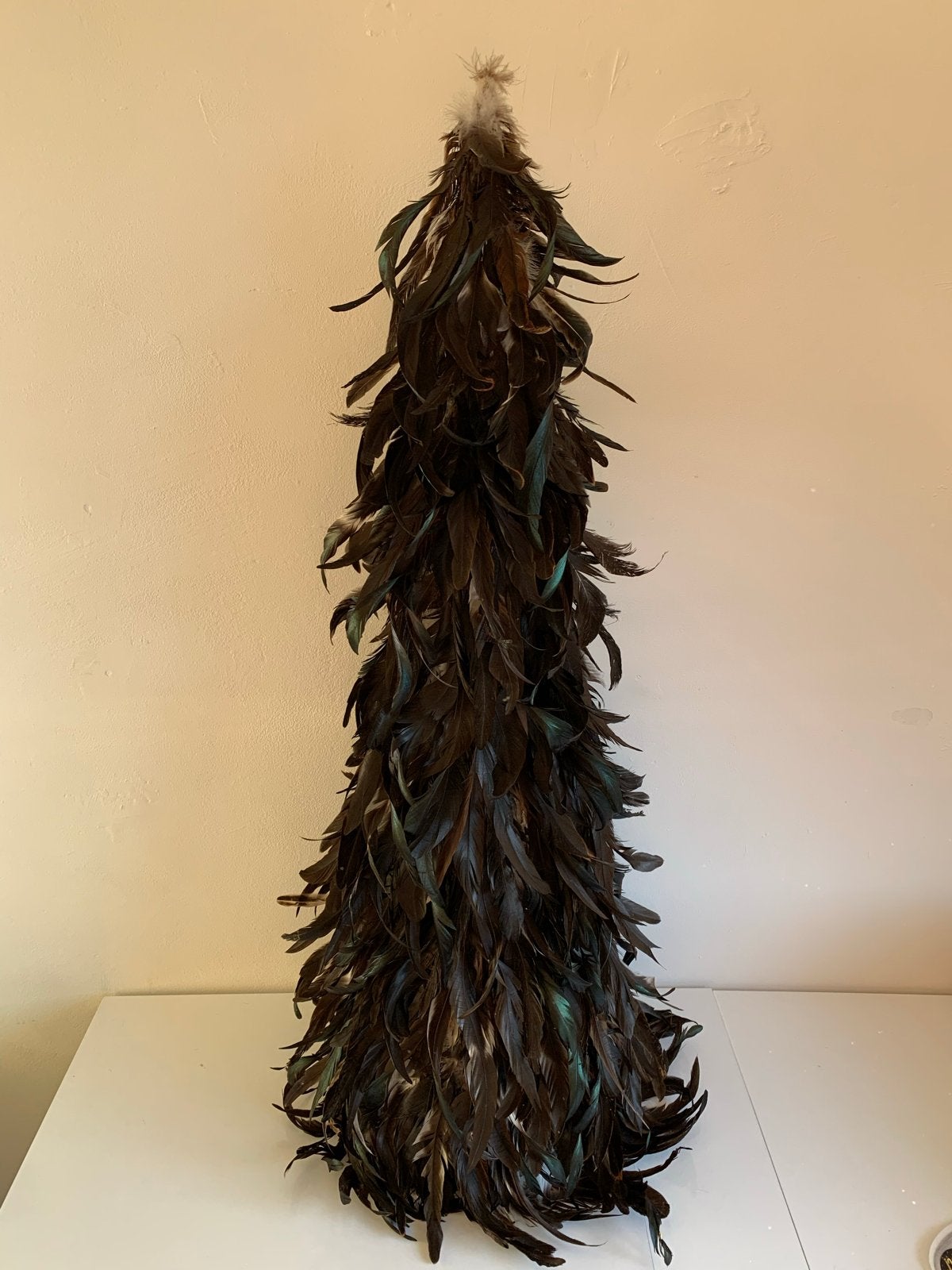 Sierboom van veren (kip), Diversen, Ophalen