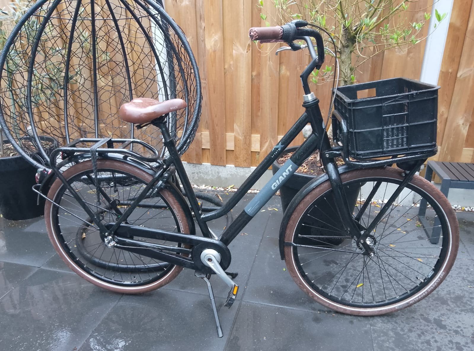 Zgan Giant Triple damesfiets maat L, Overige merken, 53 tot 56 cm, Versnellingen, Ophalen of Verzenden